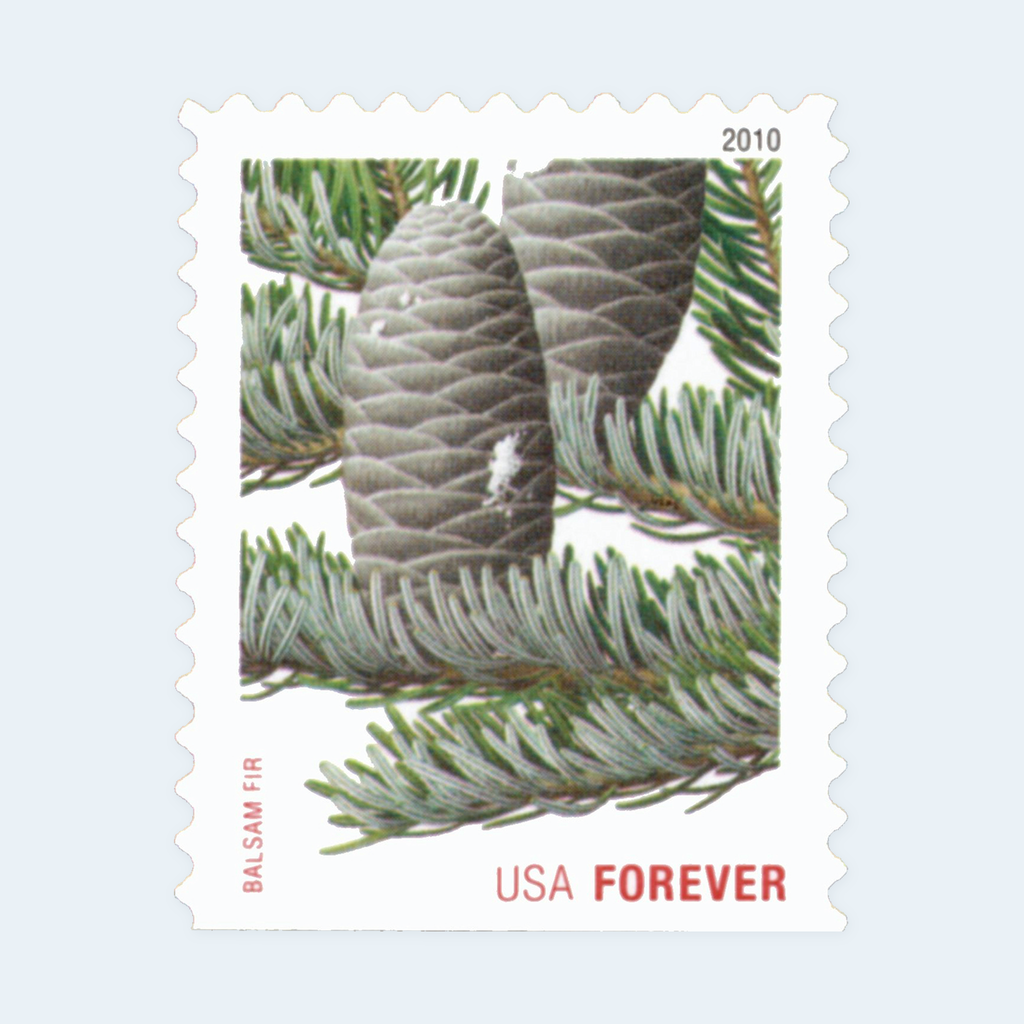 2010 Holiday Evergreens Forever Stamps: Self-Adhesive Booklet for First-Class Mail, product image 4