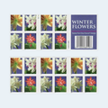 2014 Winter Flowers Forever Stamps: Self-Adhesive Booklets for First-Class Mail, product image 1