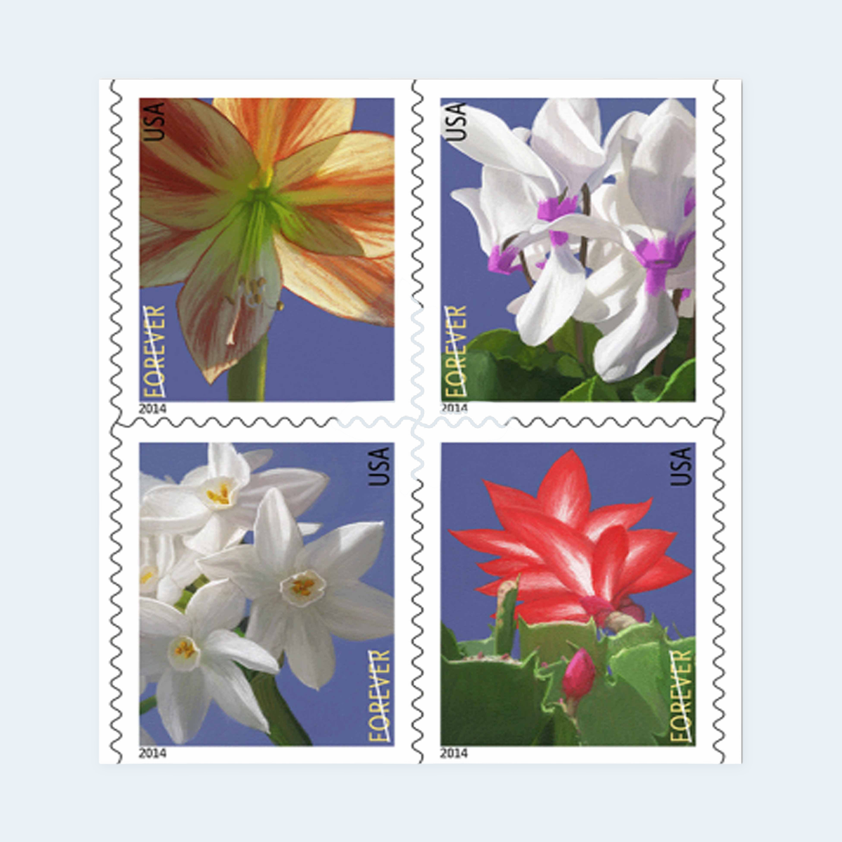 2014 Winter Flowers Forever Stamps: Self-Adhesive Booklets for First-Class Mail, product image 2