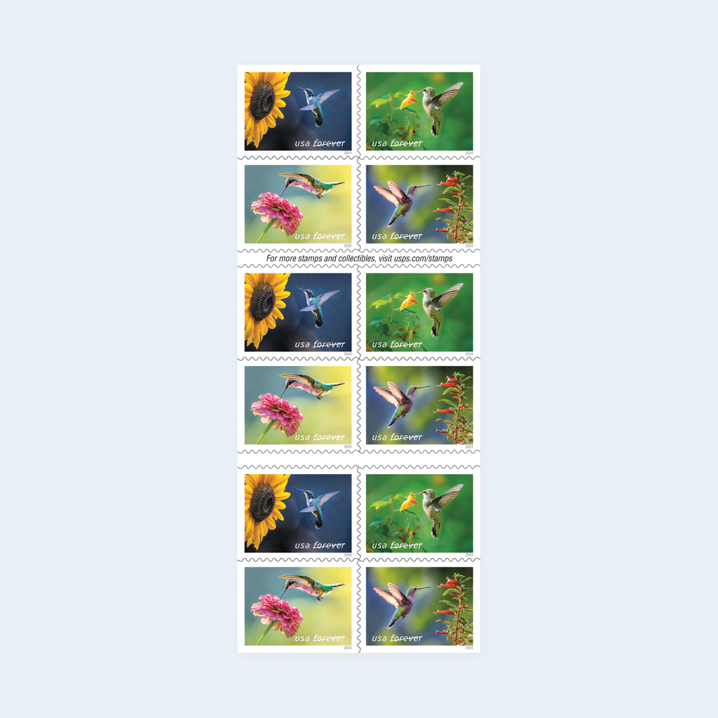 2024 Garden Delights Forever Stamps: Self-Adhesive Booklets for First-Class Mail, product image 1