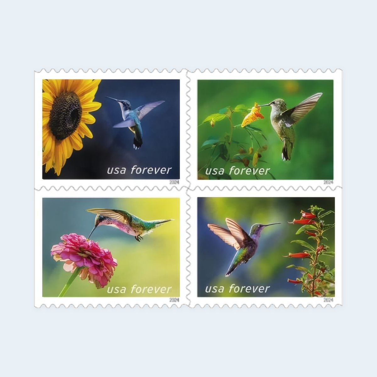 2024 Garden Delights Forever Stamps: Self-Adhesive Booklets for First-Class Mail, product image 2