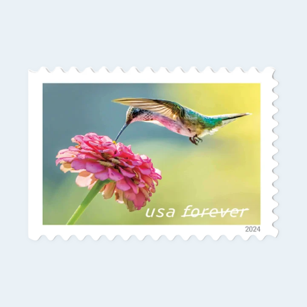 2024 Garden Delights Forever Stamps: Self-Adhesive Booklets for First-Class Mail, product image 3