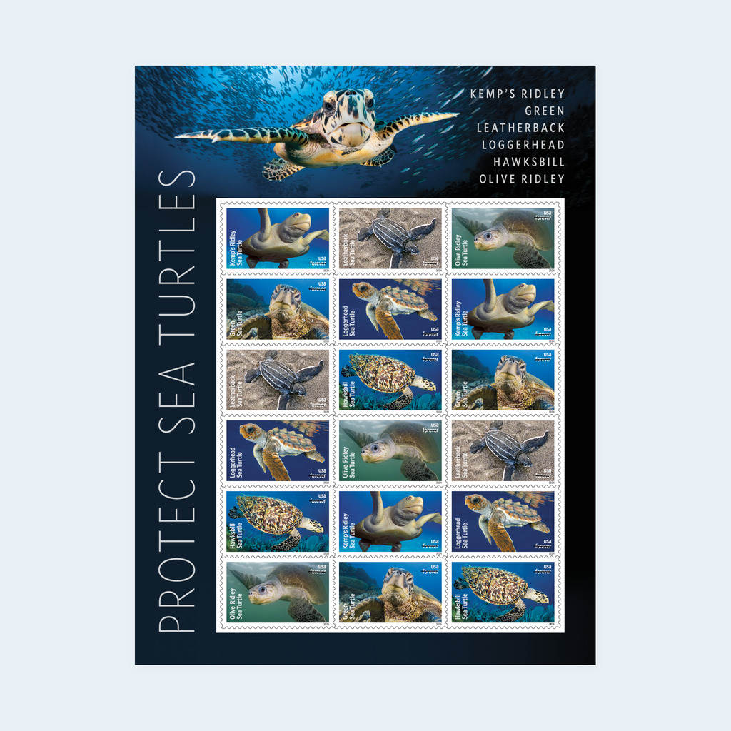 2024 Protect Sea Turtles Forever Stamps: Self-Adhesive Sheet for First-Class Mail, product image 1