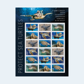 2024 Protect Sea Turtles Forever Stamps: Self-Adhesive Sheet for First-Class Mail, product image 1