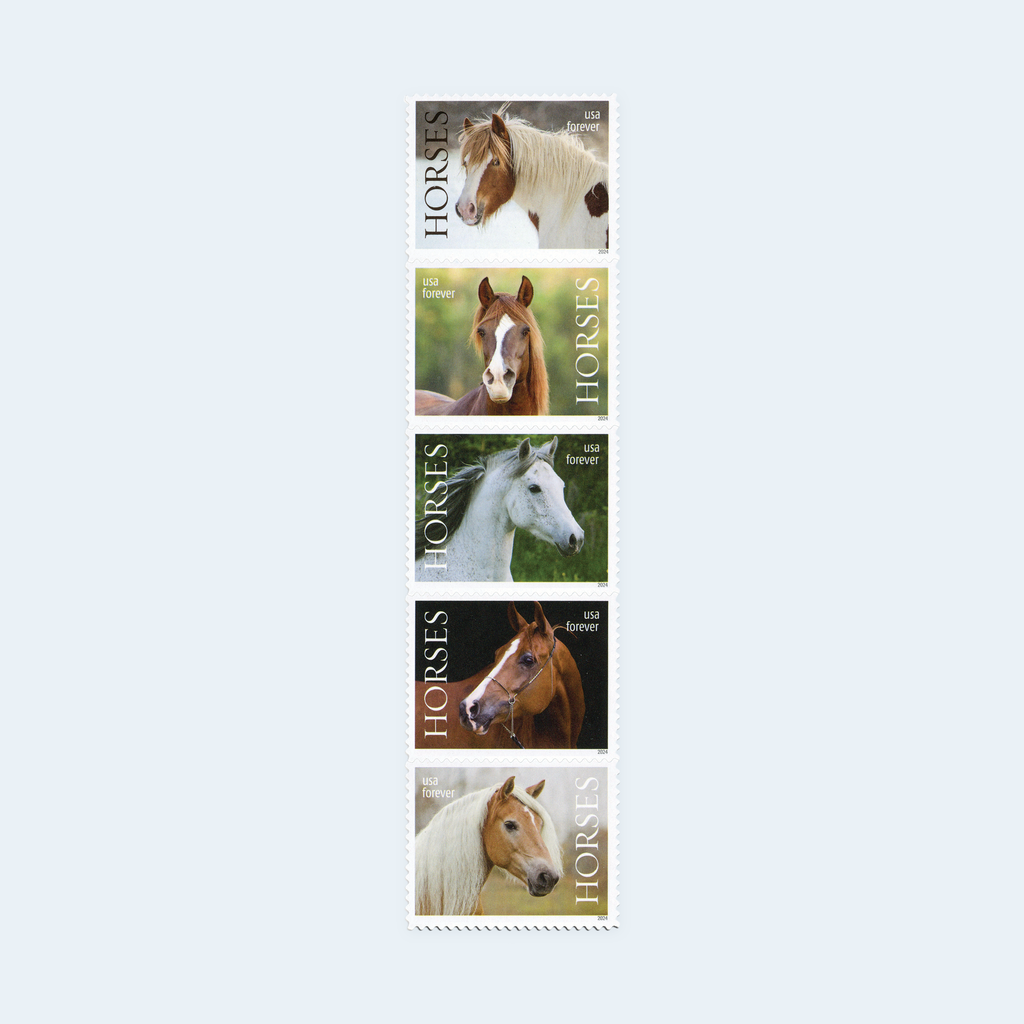 2024 Horses Forever Stamps: Self-Adhesive Sheet for First-Class Mail, product image 2
