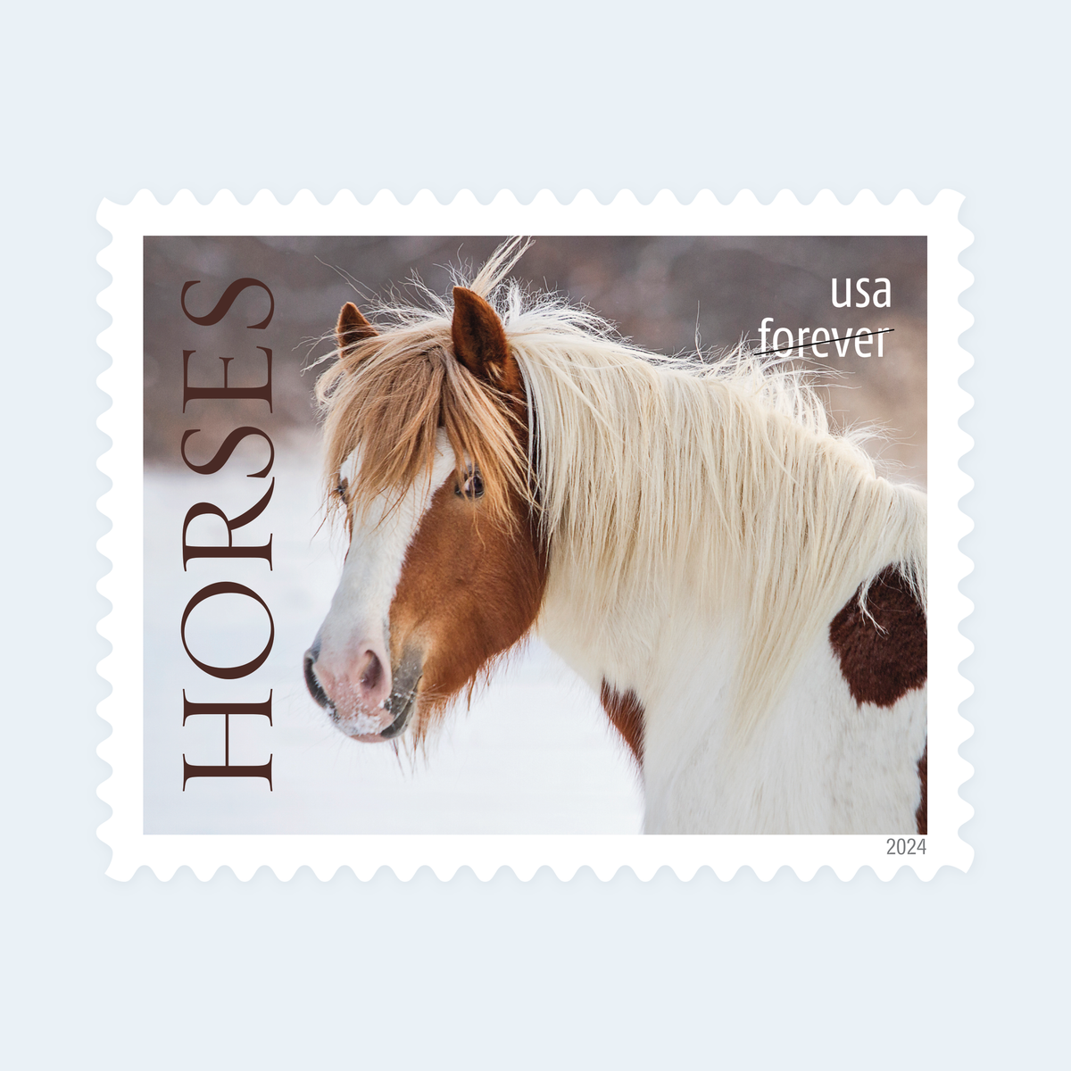 2024 Horses Forever Stamps: Self-Adhesive Sheet for First-Class Mail, product image 3