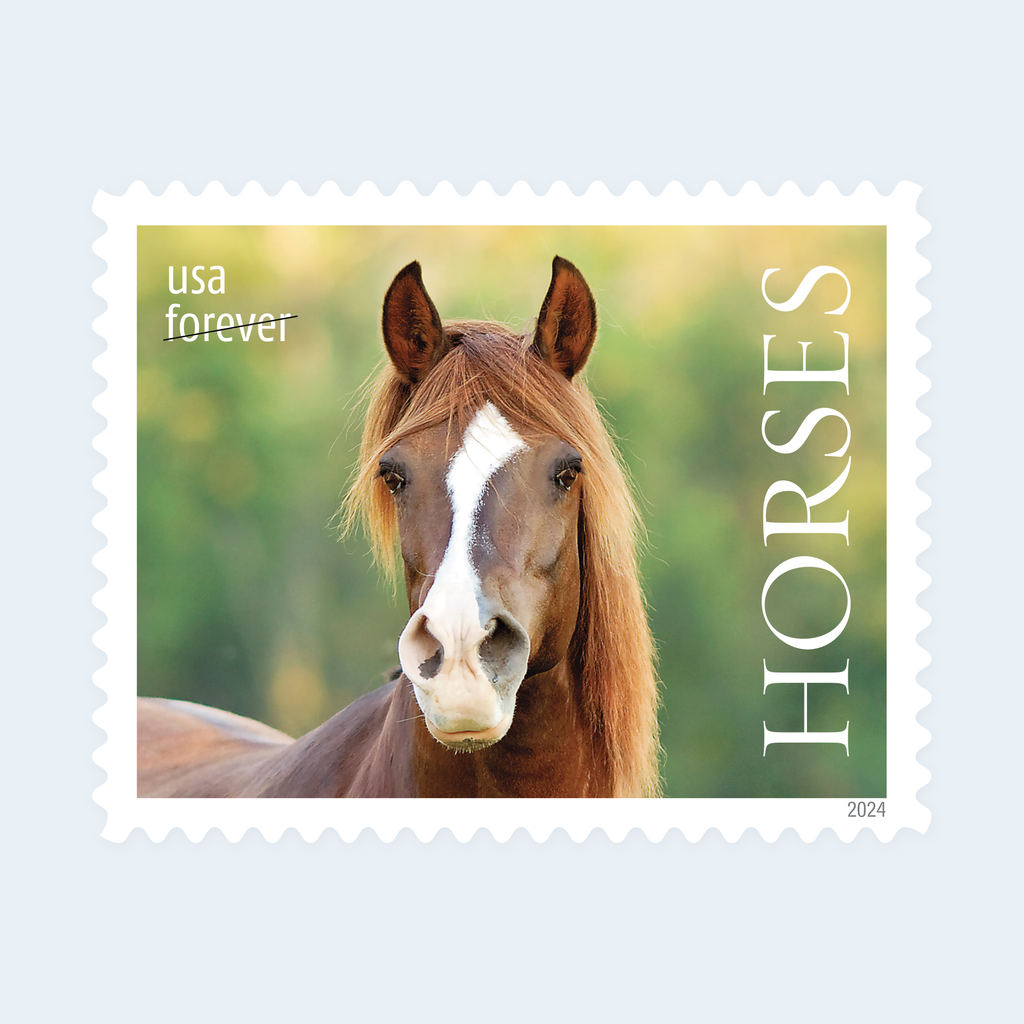 2024 Horses Forever Stamps: Self-Adhesive Sheet for First-Class Mail, product image 4
