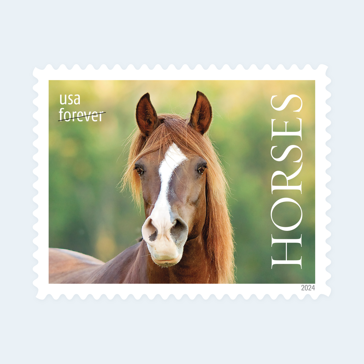 2024 Horses Forever Stamps: Self-Adhesive Sheet for First-Class Mail, product image 4