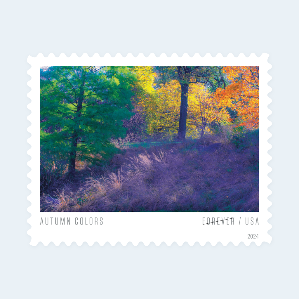 2024 Autumn Colors Forever Stamps: Self-Adhesive Sheet for First-Class Mail, product image 2
