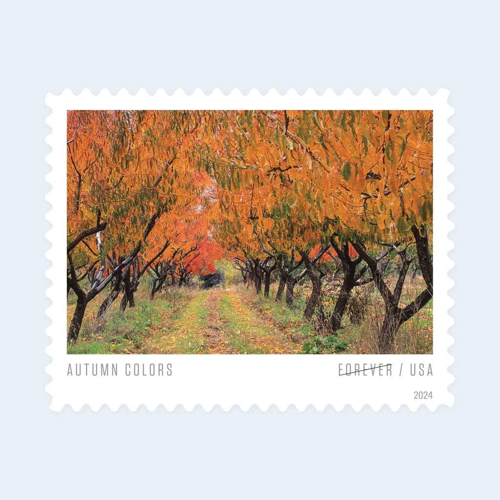 2024 Autumn Colors Forever Stamps: Self-Adhesive Sheet for First-Class Mail, product image 3