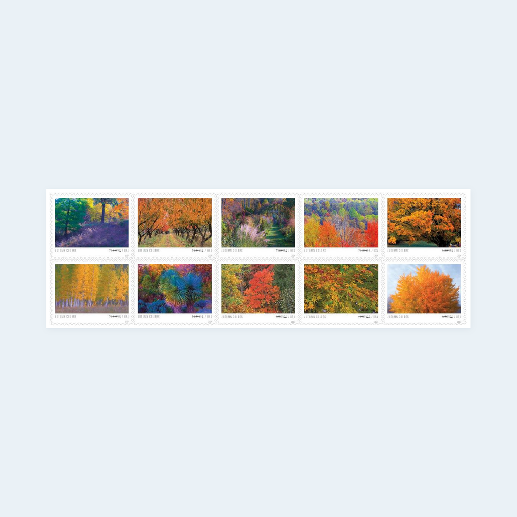 2024 Autumn Colors Forever Stamps: Self-Adhesive Sheet for First-Class Mail, product image 4