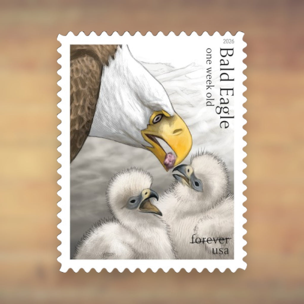 Bald Eagle: Hatchling to Adult Forever Stamps, 2026 Sheet – Cards, Letters and Stamp Collecting