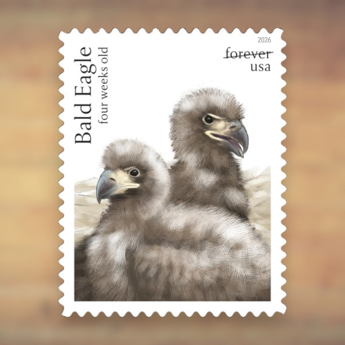 Bald Eagle: Hatchling to Adult Forever Stamps, 2026 Sheet – Cards, Letters and Stamp Collecting
