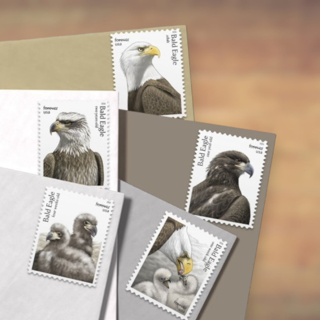 Bald Eagle: Hatchling to Adult Forever Stamps, 2026 Sheet – Cards, Letters and Stamp Collecting